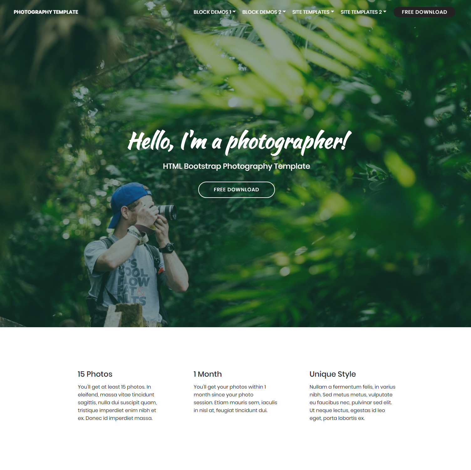 CSS3 Bootstrap Photography Themes