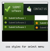 Css Styles For Select Menu