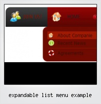 Expandable List Menu Example