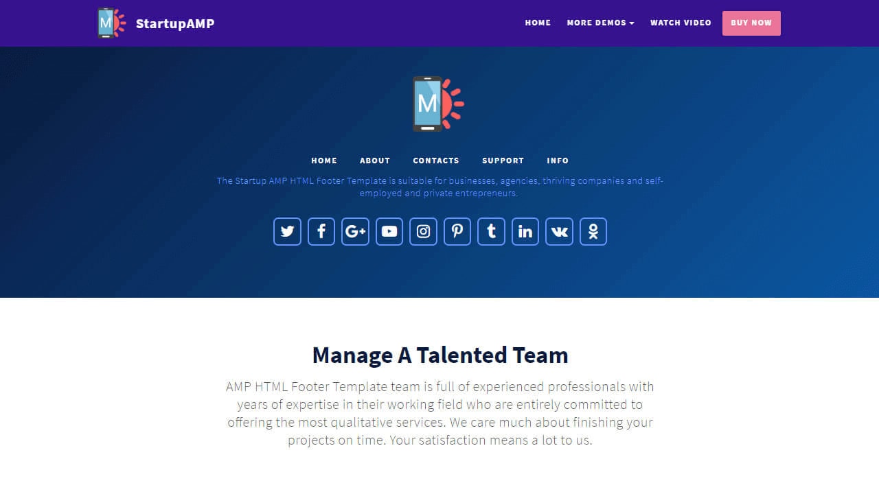 AMP HTML Footer Template