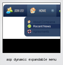 Asp Dynamic Expandable Menu